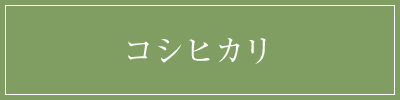 コシヒカリ