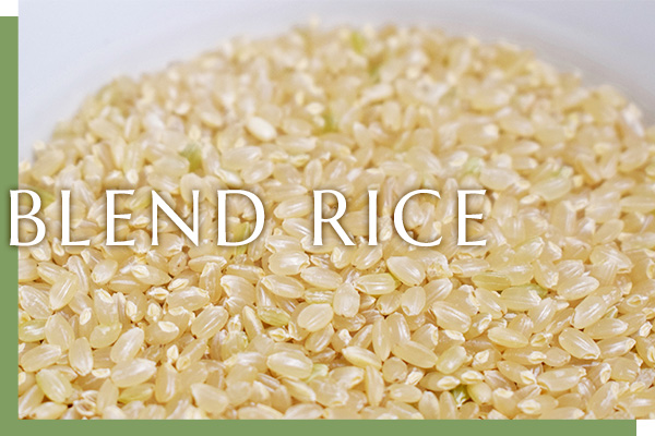 BLEND RICE BLEND RICE