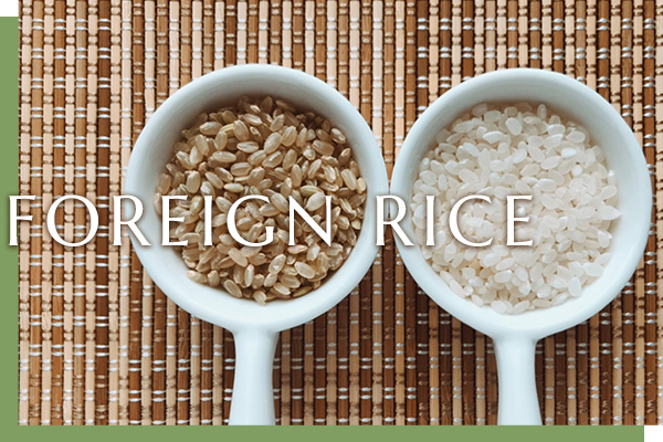 FOREIGN RICE