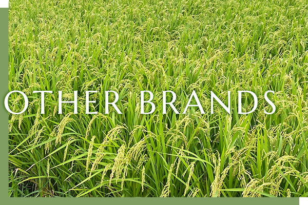 OTHER BRANDS OTHER BRANDS